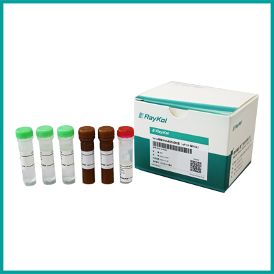 Vero残留DNA检测试剂盒（qPCR-探针法）